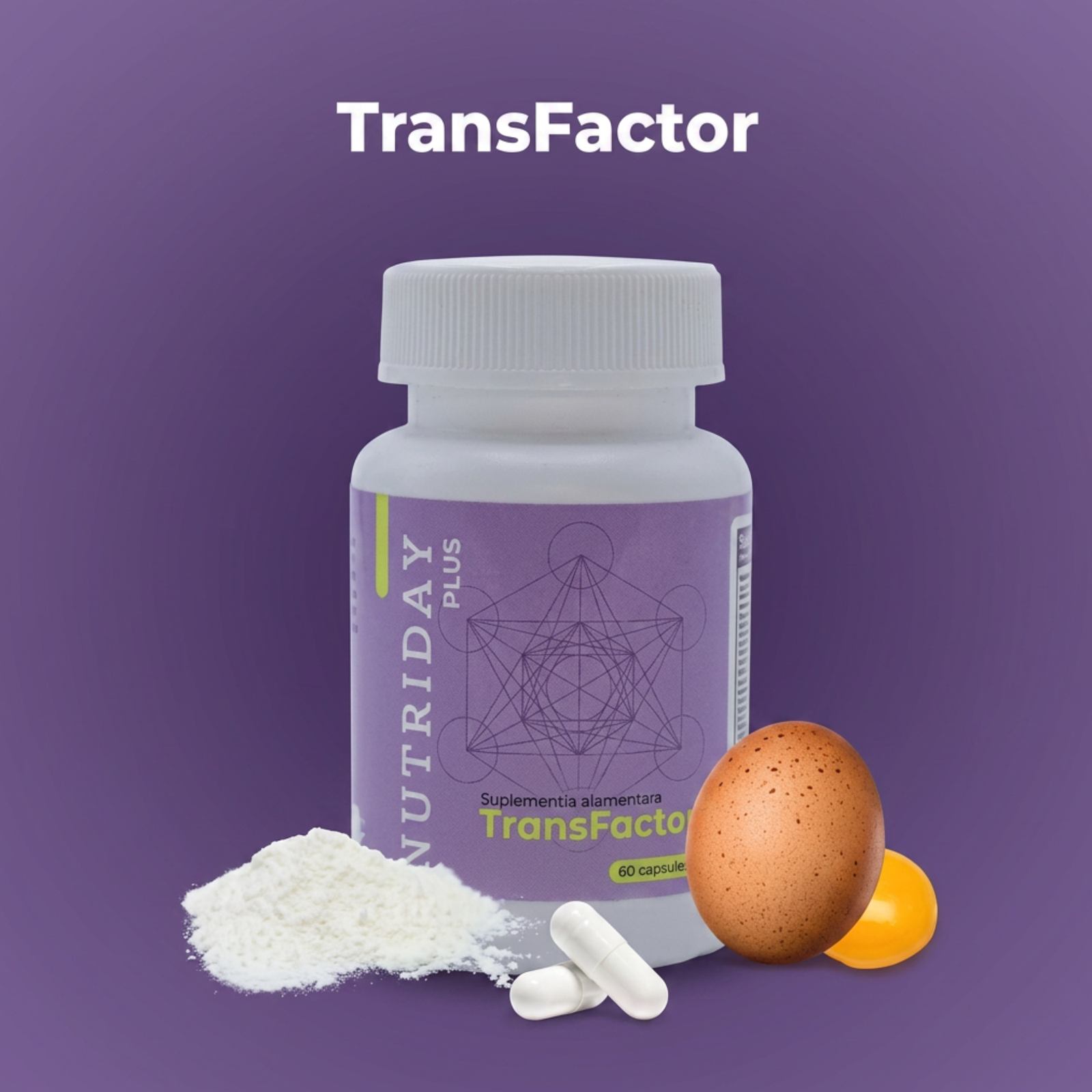 TransFactor